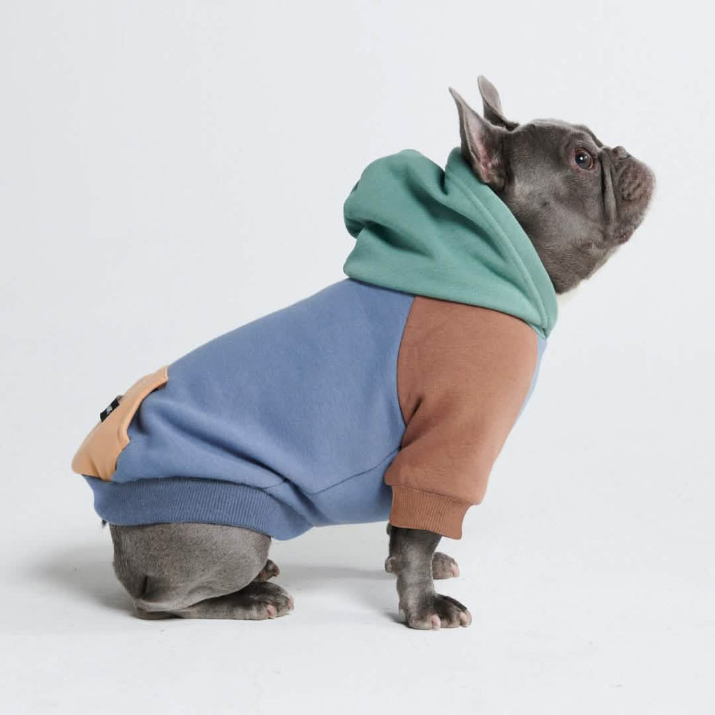 Color Block Dog Hoodies