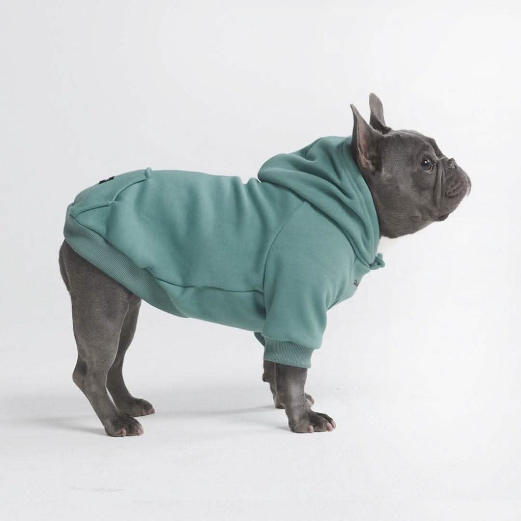 Essential Dog Hoodies
