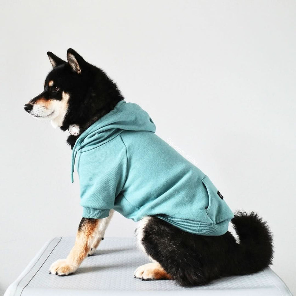Essential Dog Hoodies