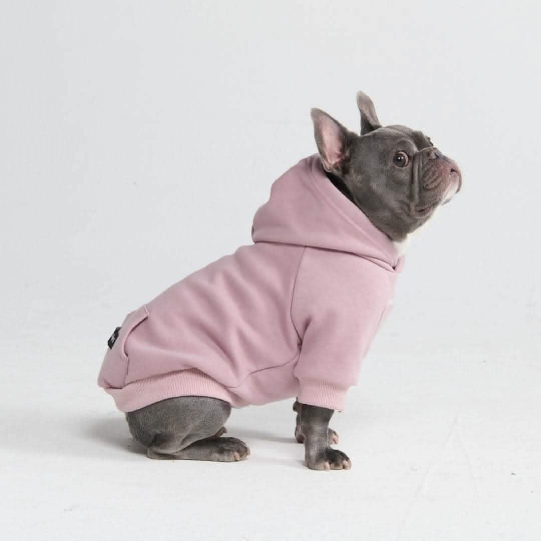 Essential Dog Hoodies