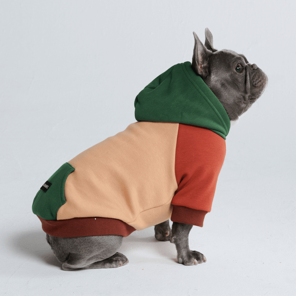 Color Block Dog Hoodies