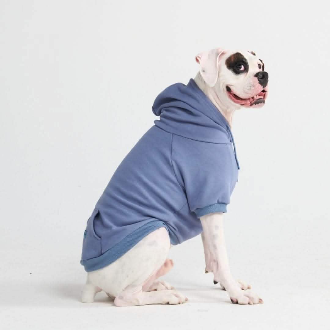 Essential Dog Hoodies