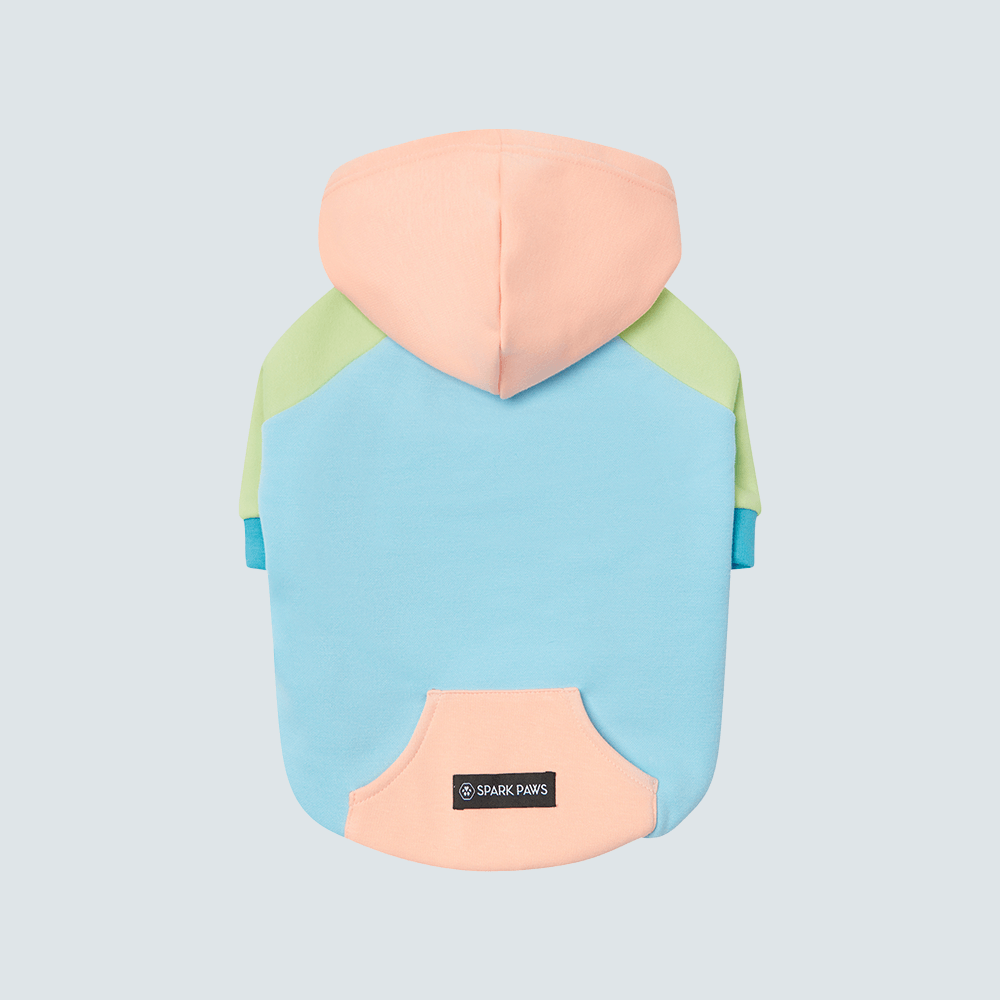Color Block Dog Hoodies
