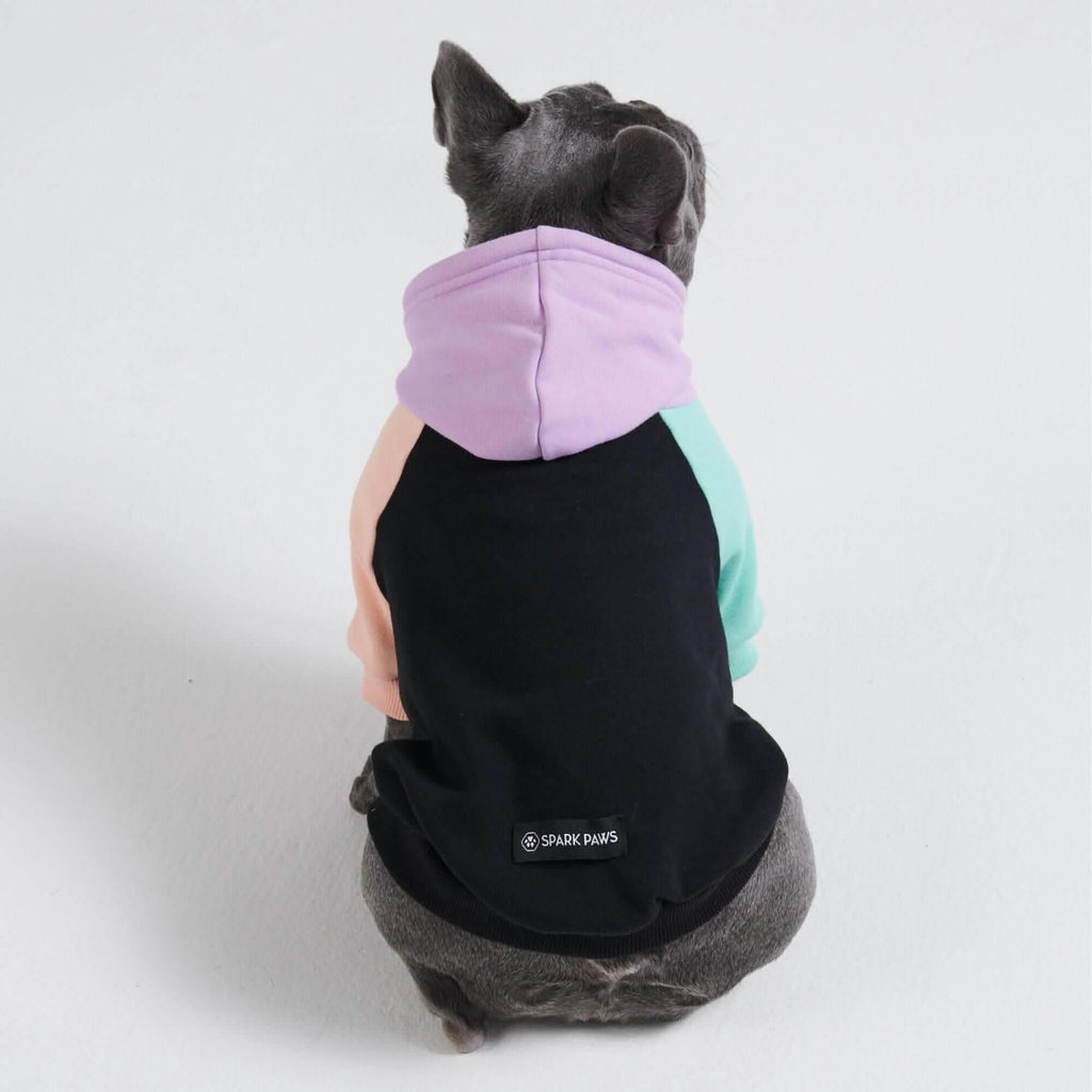 Color Block Dog Hoodies