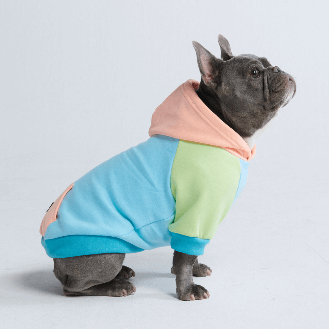 Color Block Dog Hoodies