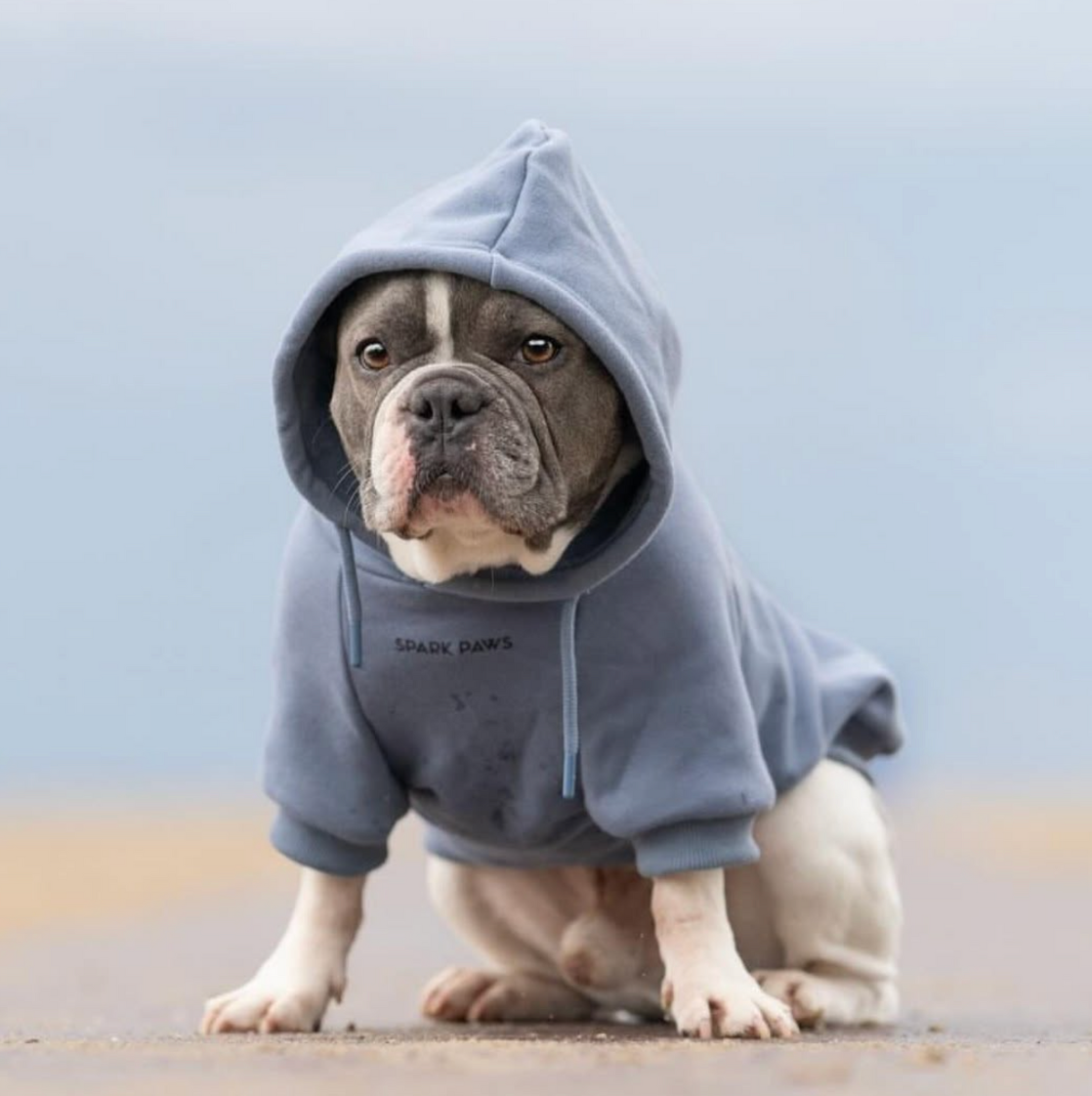 Essential Dog Hoodie - Slate Blue